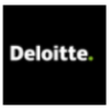 Audit Analyst