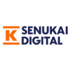 E-Commerce Development Manager