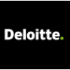 Audit Analyst