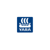 BI Analyst
