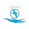 IT SYSTEMS ENGINEER