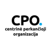 Pirkimų vadovas (-ė)
