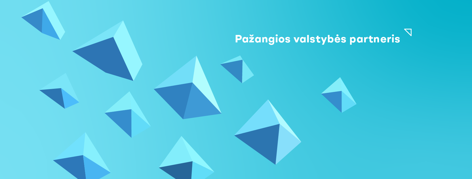 Projektų ir paslaugų standartizavimo skyriaus vadovas (-ė)