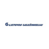 Elektrifikacijos projektų grupės Vadovas (-ė)
