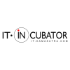 Business Analyst IT