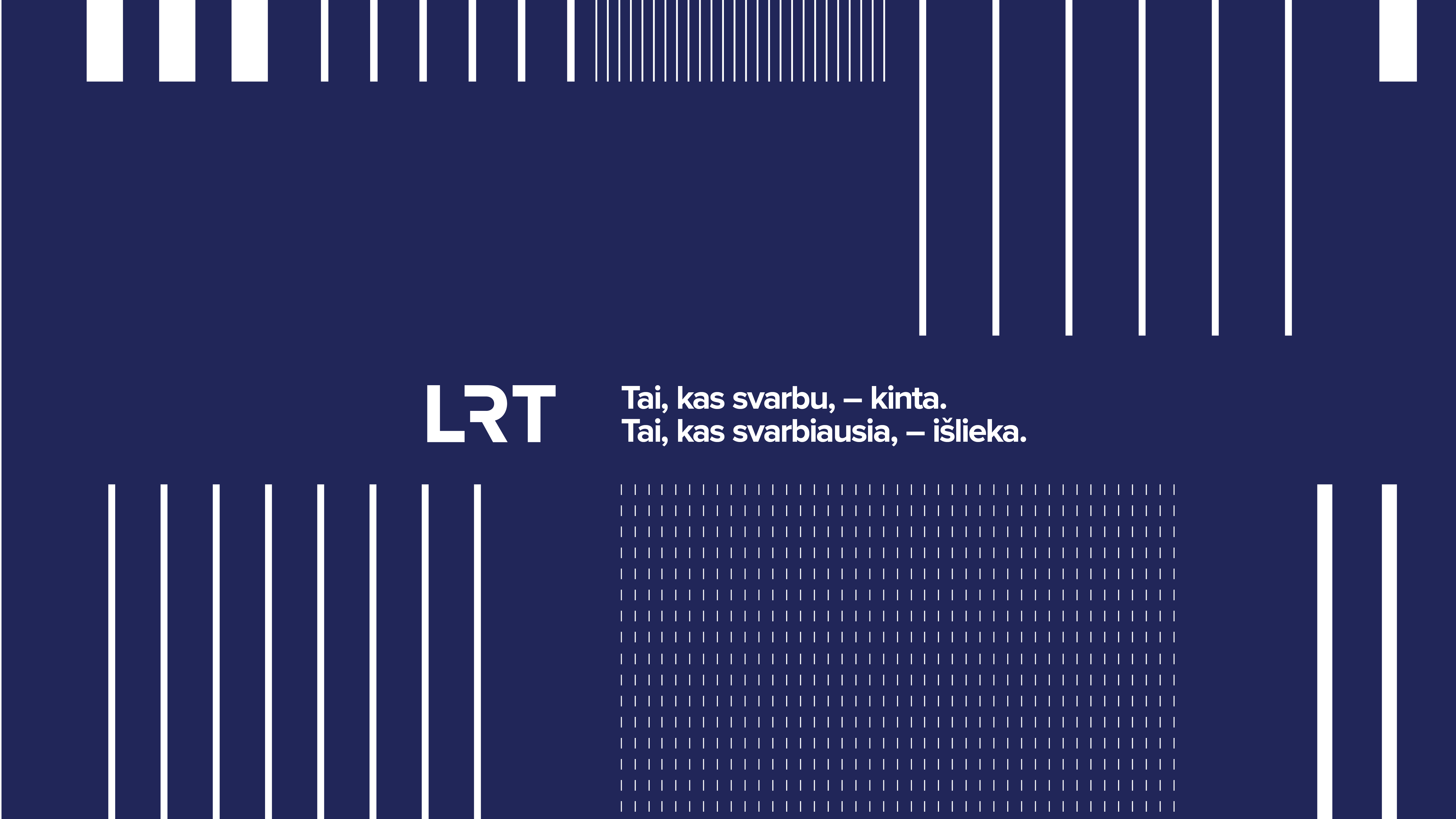 Vidaus audito tarnybos vadovas (-ė)