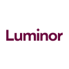 Senior Project Manager within IT