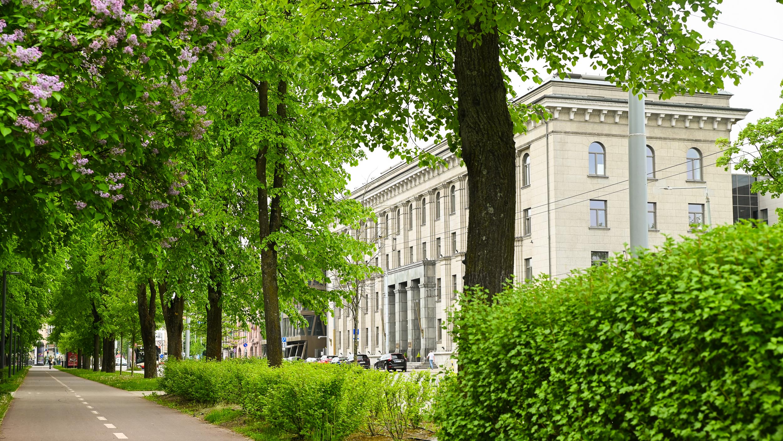 Darbuotojų patirties skyriaus Vyriausiasis specialistas (-ė) (karjeros valstybės tarnautojas)